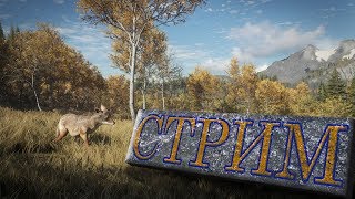 theHunter: Call of the Wild \