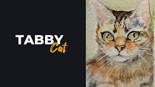 Tabby cat | Полосатый кот