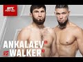 UFC FIGHT NIGHT 234. Анкалаев-Уокер. Николау-Капе. Миллер-Бенитес. Симон-Баутиста. Орловский-Акоста