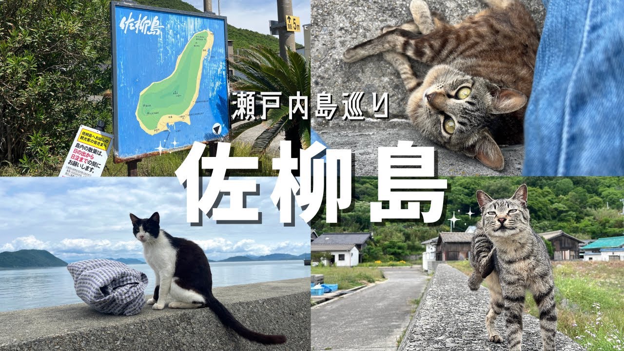 【Vlog】憧れの猫の島。佐柳島へ行ってきた🐈✨