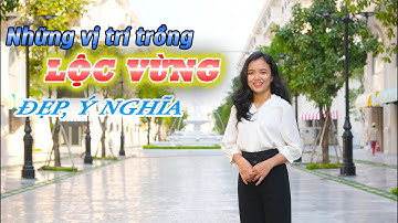 NHỮNG LƯU Ý VỀ VIỆC TRỒNG CÂY LỘC VỪNG ĐẸP VÀ Ý NGHĨA