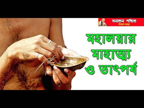 ভিডিও: মগালিয়া কি বরফ পায়?