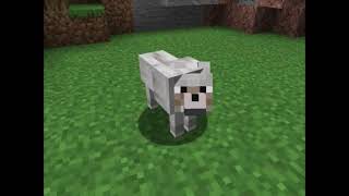 Preview 1280 Wolf Sparta Pitch Test