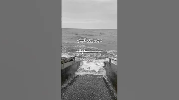 كل يوم بقول إمتى ترجع ليا إمتى حالات واتس عمرو دياب 