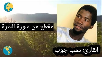 ما تيسر من سورة البقرة || القارئ: دمب جوب مقلد شيخ أبوبكر الشاطري