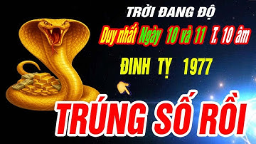 TRỜI ĐANG ĐỘ Tuổi ĐINH TỴ 1977 đúng 2 ngày duy nhất T10 âm THẦN TÀI BÁO MỘNG TRÚNG ĐỘC ĐẮC