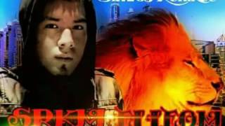 TRAP, REGGAETON \u0026 ELECTRO HOUSE - SRKM MUSIC