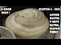 Clutch 4 - 2025 Lesser Pastel Ultra Clown Pied Triple Hets plus more locks!