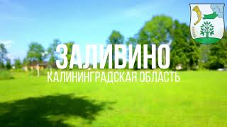 4К. Заливино. Полесский район. Калининградская область