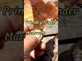 Tinder smut fungus only needs to be dried