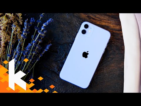 iPhone 11 review - Die kluge Wahl 