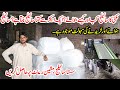 How to Make Maize Silage | Maize Silage Rate And Silage Making Process Details