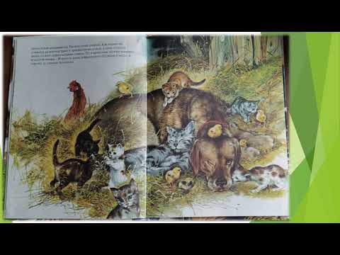 Читаем книгу Александра Баркова "Зоология в картинках".