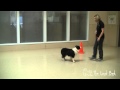 Agility Directional Cues: Turn Using a Cone Agility Directional Cues: Turn Using a Cone