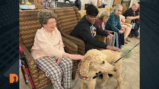 How conversations impact the lives of senior citizens and their caregivers