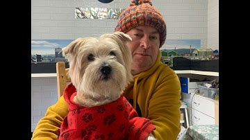 Man Best Friend Layout Update By Medway Model Railway Part 96.