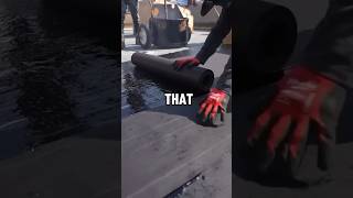 Little Johnny Walks In On His Parents