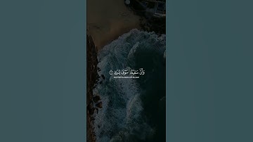 تلاوة خاشعة ياسر الدوسري #اكسبلور #تلاوة_خاشعة #حالات_واتساب #اجر_لي_ولك #قران كريم