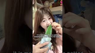 Can you eat this cactus #fruit #wukong #funnyvideo