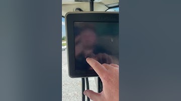 Deleting Adaptive Curve Lines