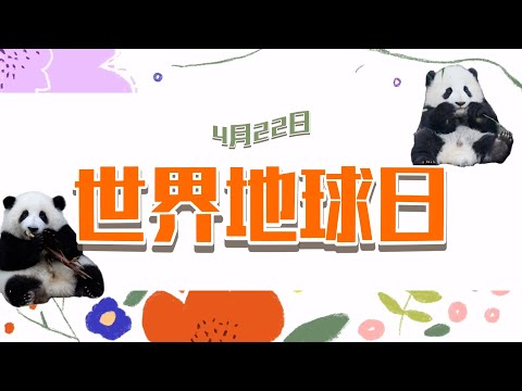 《熊貓星團》滾滾邀你一同保護地球 | iPanda熊貓頻道
