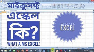 What a MS Excel? by The Workmanship Wealth