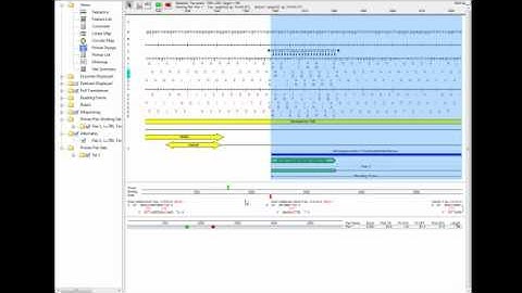 DNASTAR - Using the SeqBuilder Views for Sequence Analysis