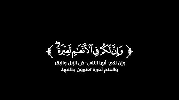 كروما شاشة سوداء قرآن كريم 🌿تلاوة من سورة المؤمنون  🌿القارئ محمد اللحيدان 🌿