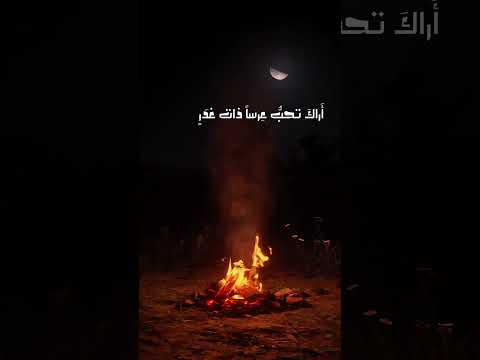 نصيحة أبي إسحاق الإلبيري لابنه أب بكر تائية الإلبيري