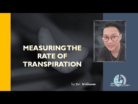 Measuring the Rate