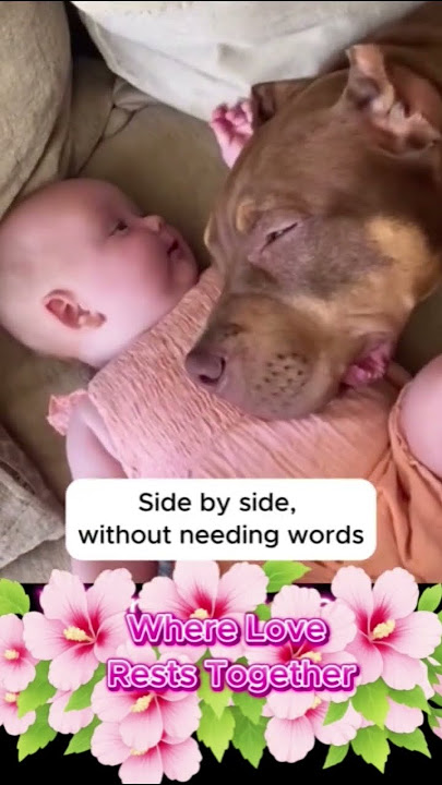 Where Love Rests Together