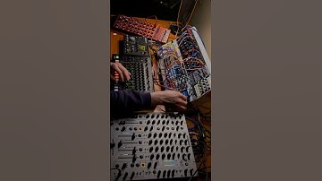 Behringer Model D + Neutron + 1010music Bitbox + Roland TR8s #techno