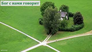 картинка: 