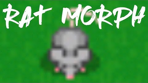 HOW TO GET RAT MORPH IN GRAAL ONLINE CLASSIC