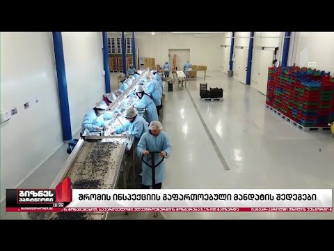 შრომის ინსპექციის გაფართოებული მანდატის შედეგები