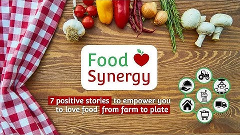 Food Synergy Movie - crowdfunding video