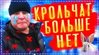 Крольчат Больше Нет / Готовим Камчатского Огромного Краба в Русской Печи | Перезалив