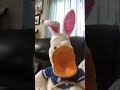 Easter Duck: Happy Easter!!!!
