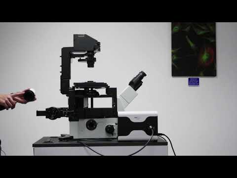 Fitting the Olympus