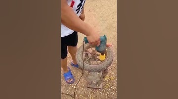 Corn threshing process sharing - good tools and machinery can make the work better