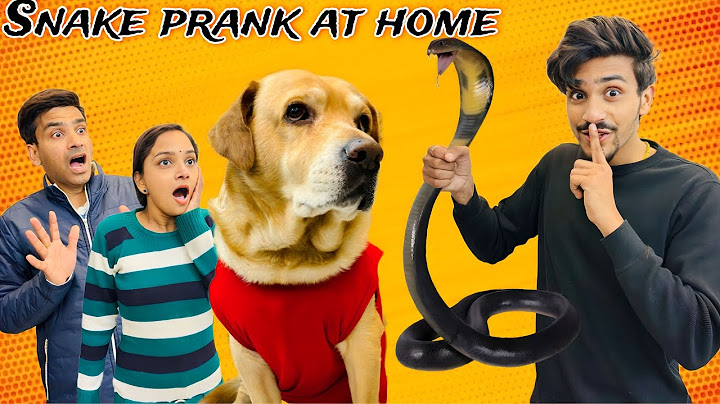 Snake prank at home | Leo Ki Tui me saap ghus Gaya | Anant Rastogi