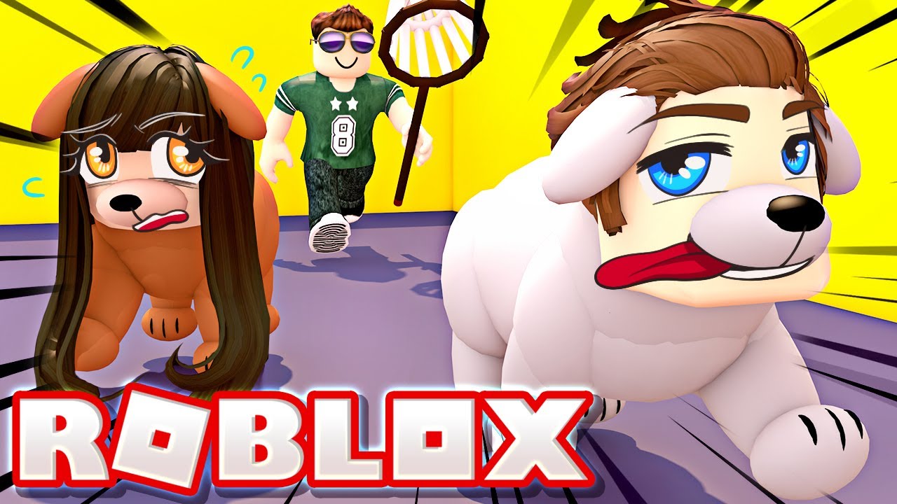 We Are Pets And Must Escape The Pet Store Roblox Youtube - roblox pet shoptan kacabilecek misin escape pet store obby