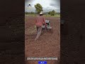 Modern Farmers! Cultivate Farmland Quickly and Easily Using a Mini Cultivator #workers