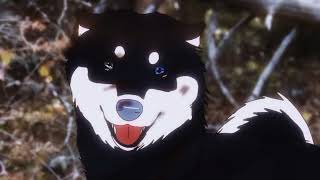 Download Lagu The zombie song (dogs animation)  MP3 Download Lagu The zombie song (dogs animation)  MP3