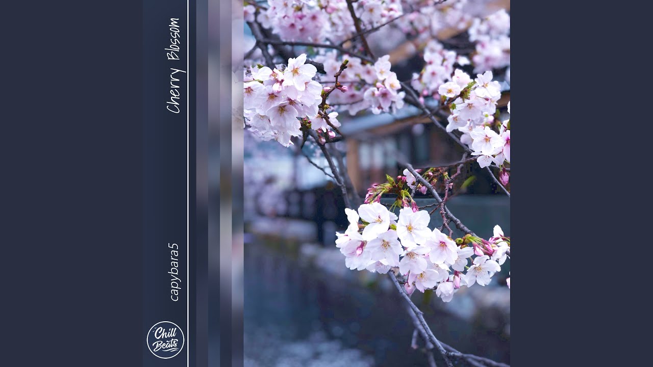 Watch Cherry Blossom on YouTube Watch Cherry Blossom on YouTube