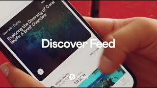 How to Use the Discover Feed in the Buddy App: Explore Dive Logs, Articles, Businesses, & More