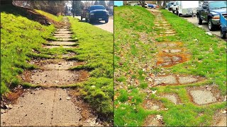 Overgrown Sidewalk UNCOVERED After 50 Years Of NEGLECT (12 Hour Job)