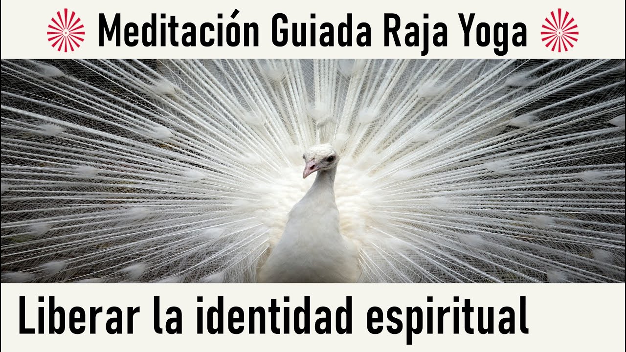 Meditación Raja Yoga: "Liberar la identidad espiritual" con Ramón ...