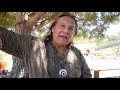 Tiokasin Ghosthorse, Lakota native American, on intuitive intelligence