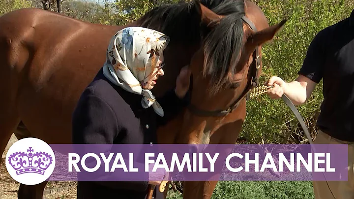Amazing Footage Of Queen Tending to Epsom Derby Ho...